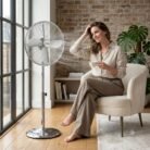 Pedestal Fan